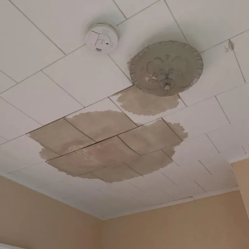 Ceiling Water Damage Repair in Caledonia, MN
